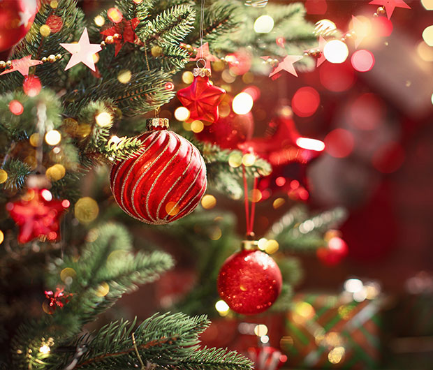 家族で楽しめる！冬が舞台のおすすめ映画5選