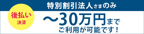 特別割引法人30万円（税込）