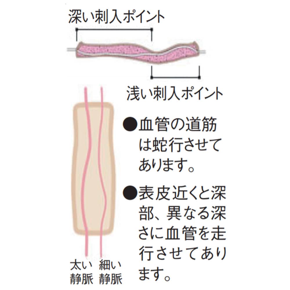 人体模型 けっかんくん2
