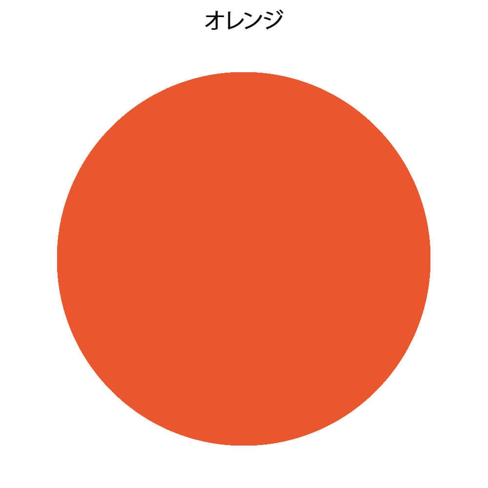 フォーカル ノンラテックス アネロイド血圧計