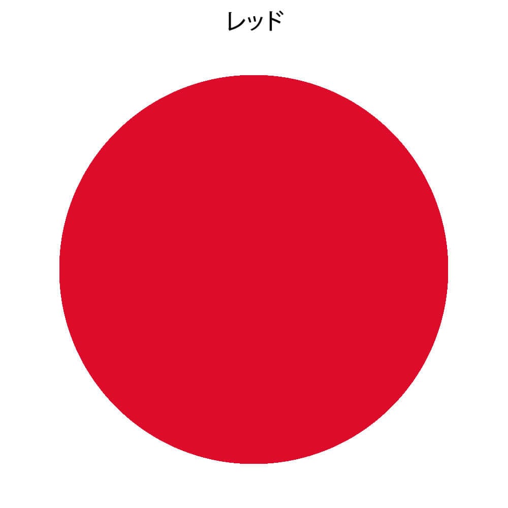 フォーカル ノンラテックス アネロイド血圧計