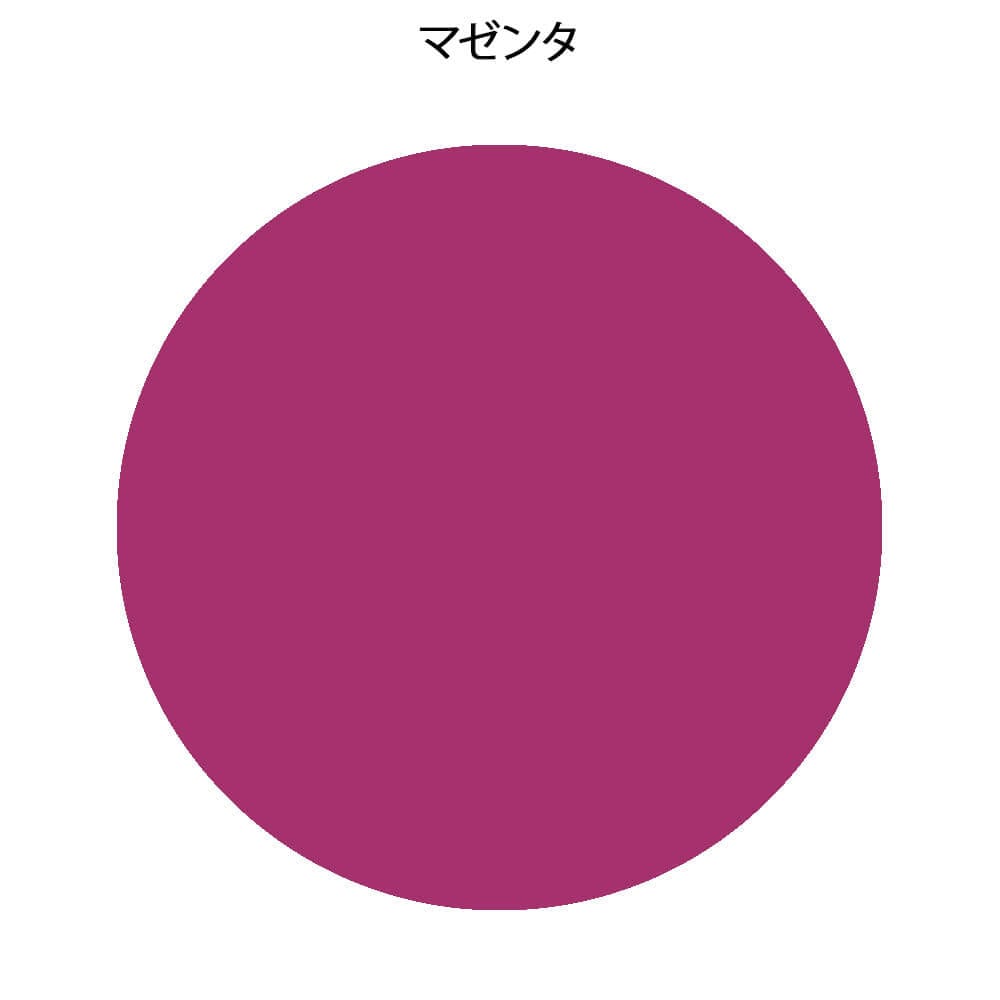 フォーカル ワンプッシュ付アネロイド血圧計