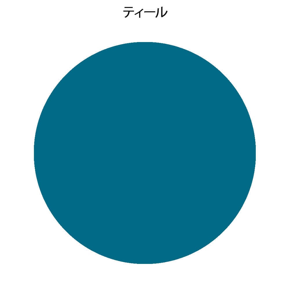 フォーカル ワンプッシュ付アネロイド血圧計