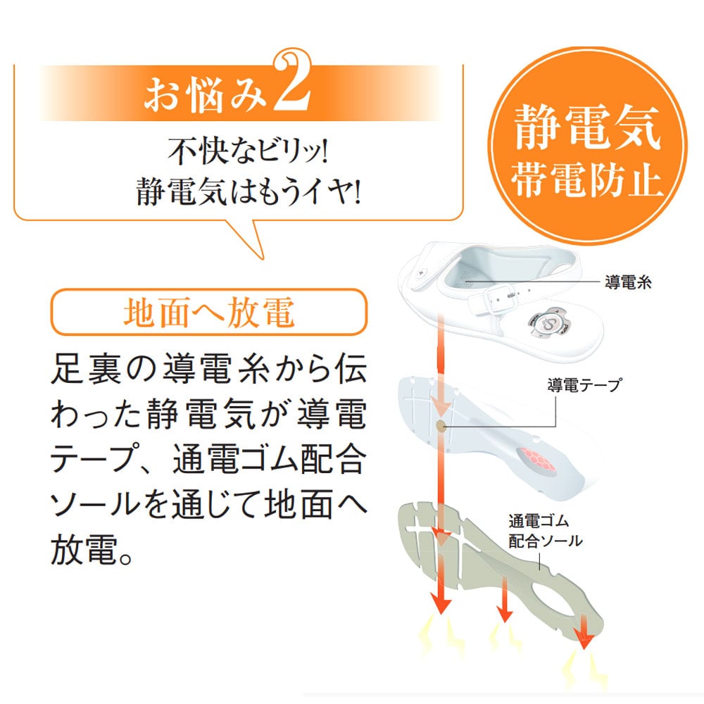 ピュアウォーカープロフェッショナル8501