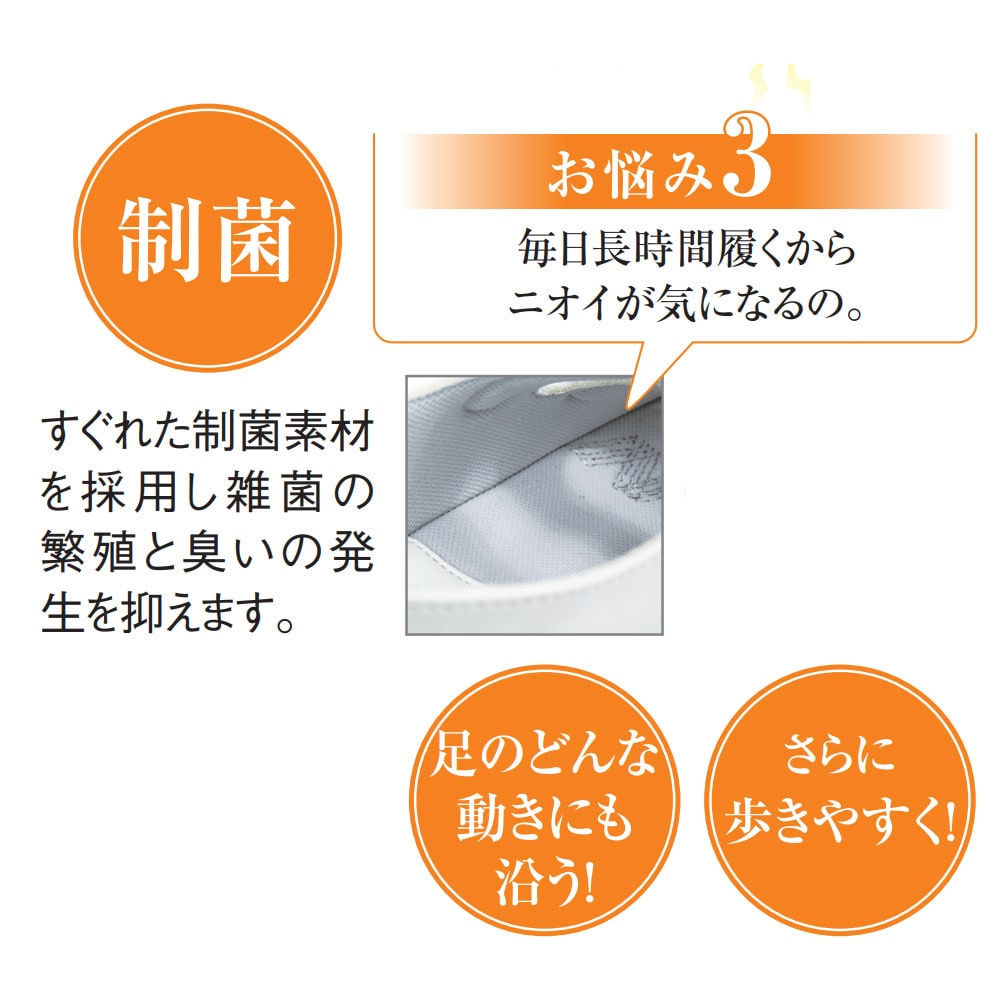 ピュアウォーカープロフェッショナル8501