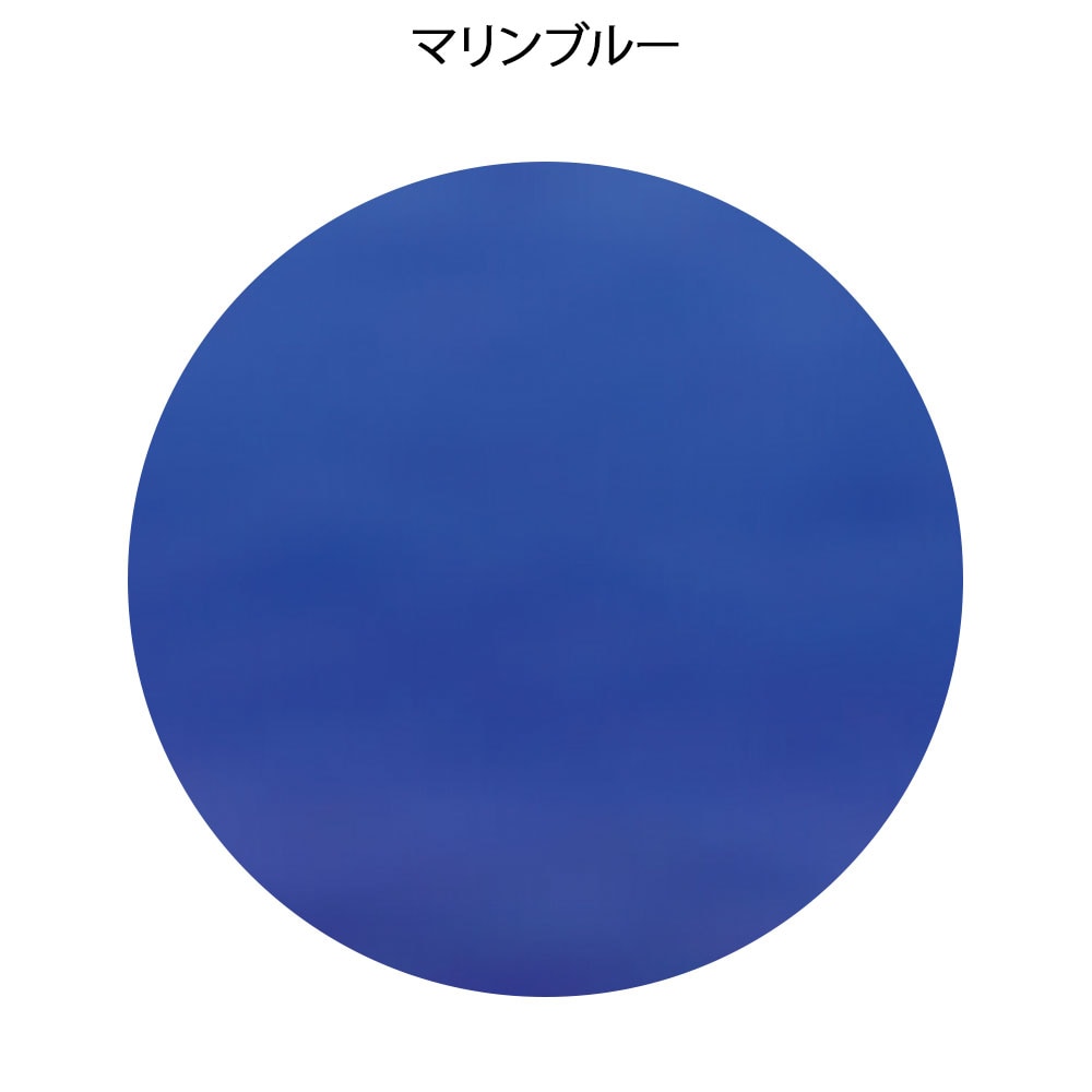 フォーカル スーパースコープ FC-201S (聴診器)