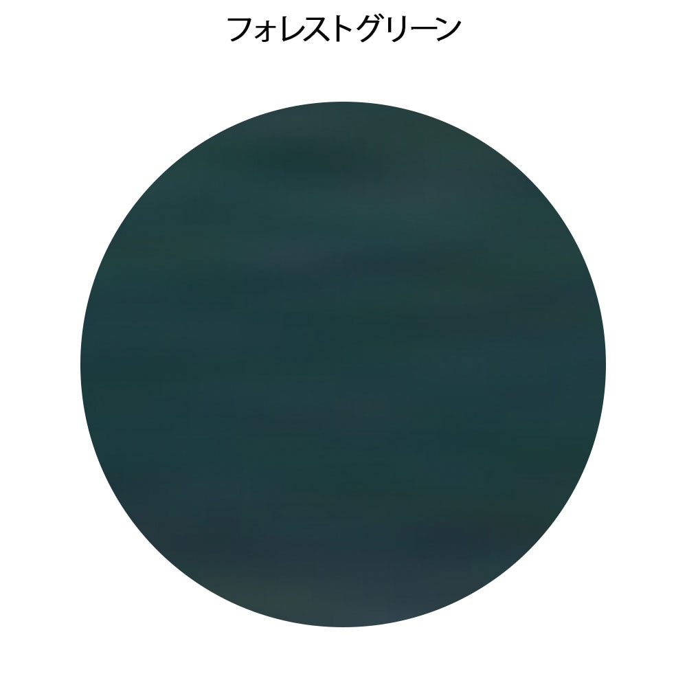 フォーカル スーパースコープ FC-201S (聴診器)