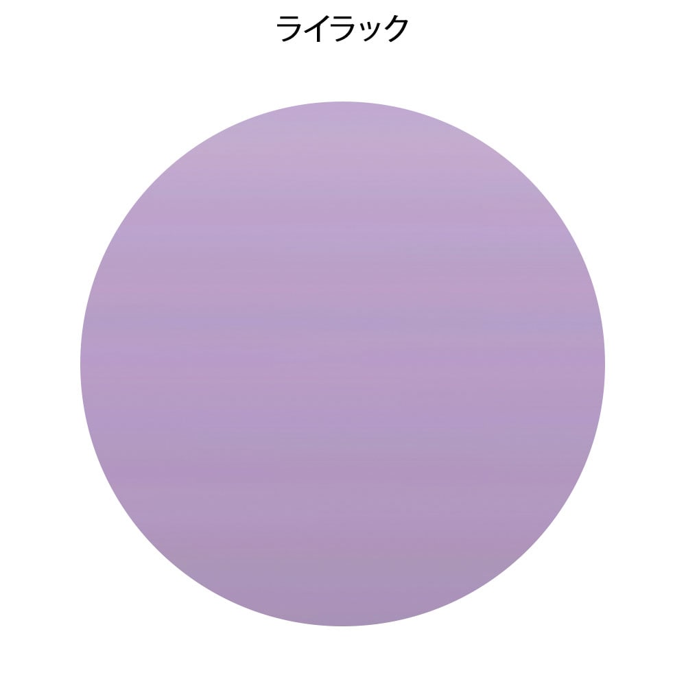 フォーカル スーパースコープ FC-201S (聴診器)