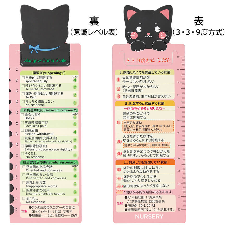 ポケットナーススケール (2枚組)