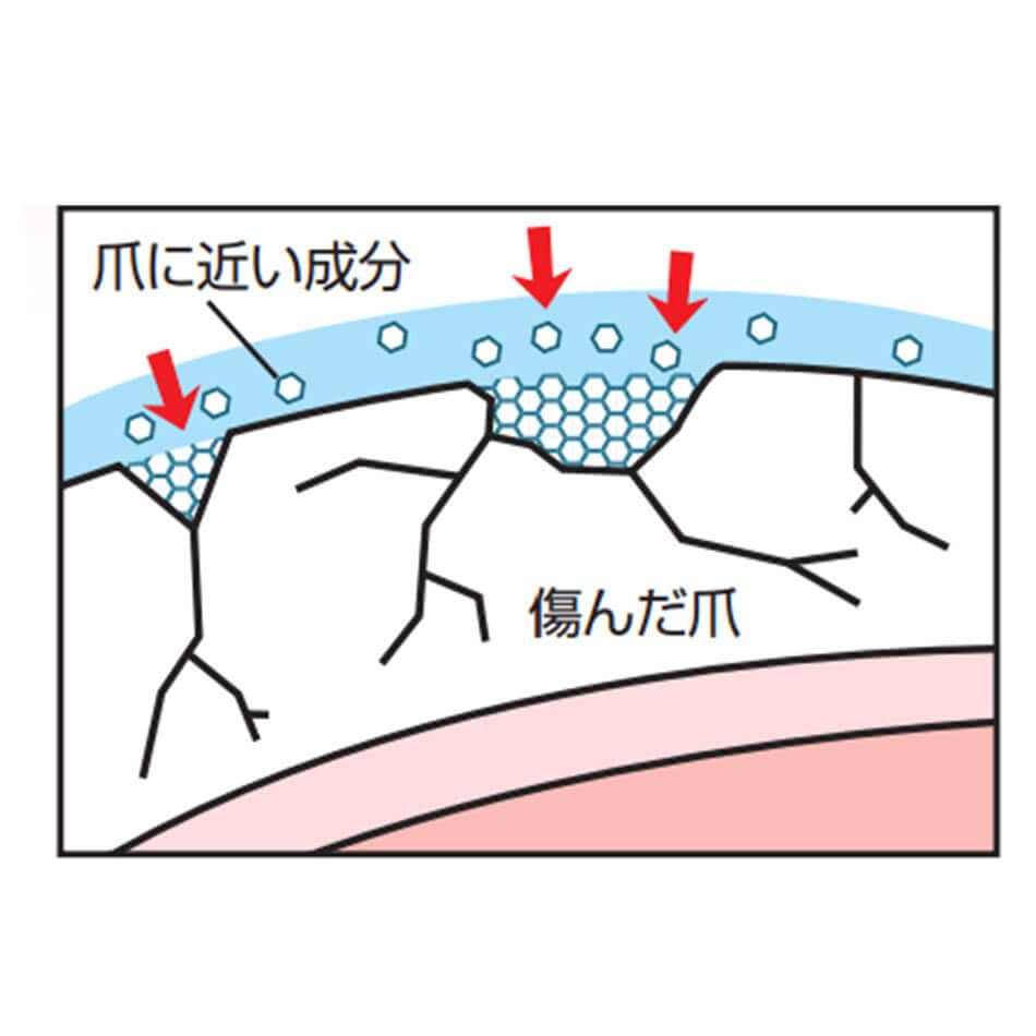 美爪の休日 プレミアム