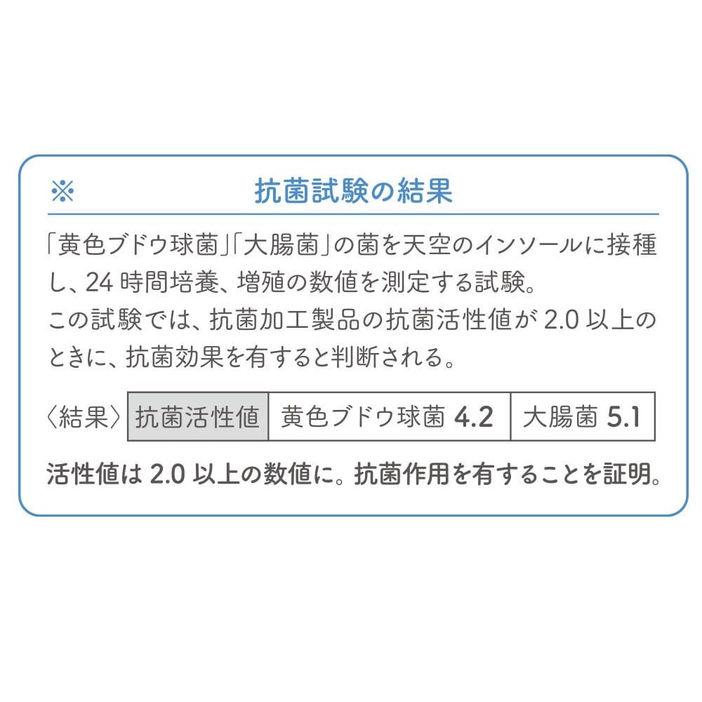魔法のインソールサンダル「天空」