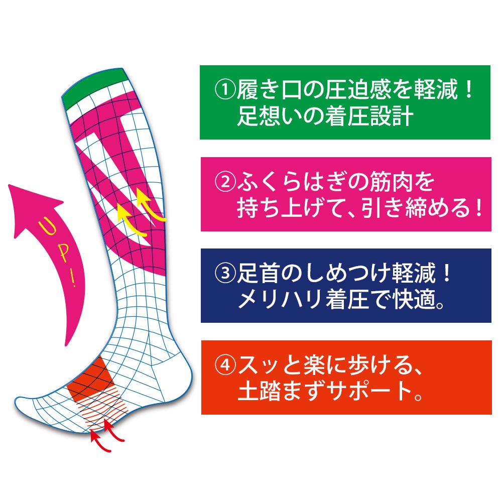 新発想・着圧ハイソックス