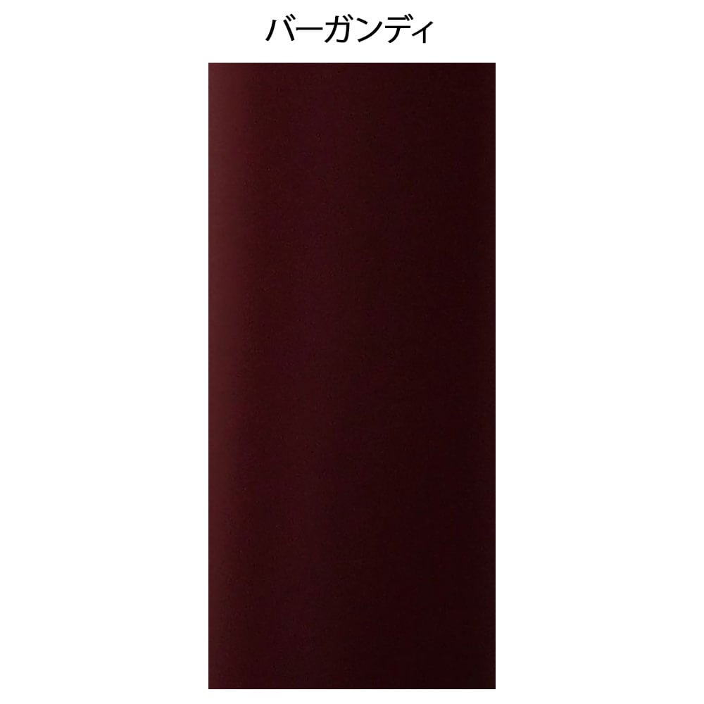 ADスコープ709 クリニシャンステトスコープ ライト(聴診器)