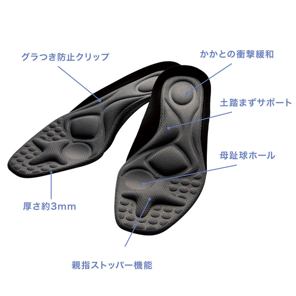 ガイハンインソール