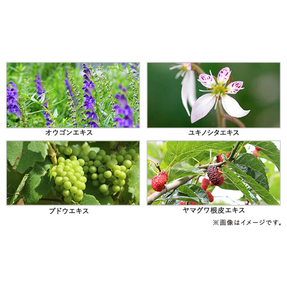 イロハ インティメートウォッシュ フォームタイプ