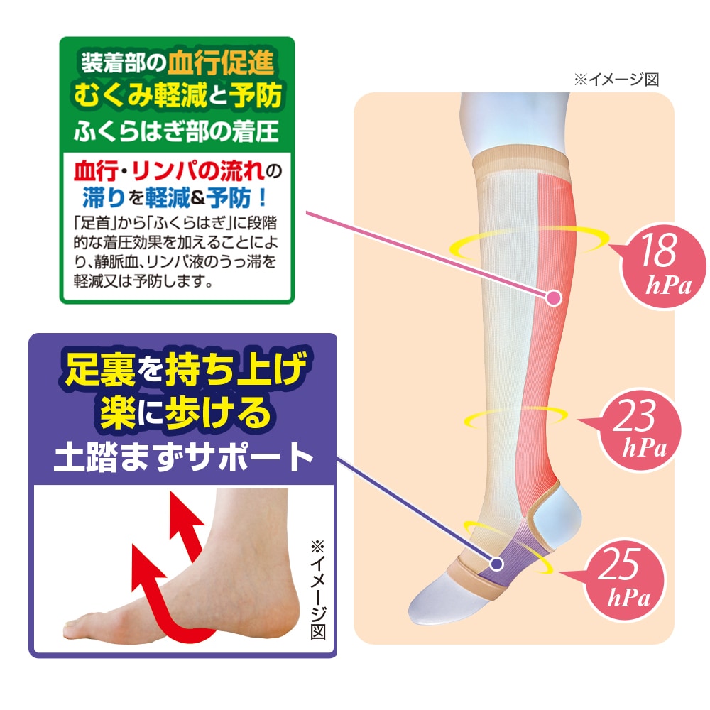 涼感キュッと一般医療用サポーター2枚組