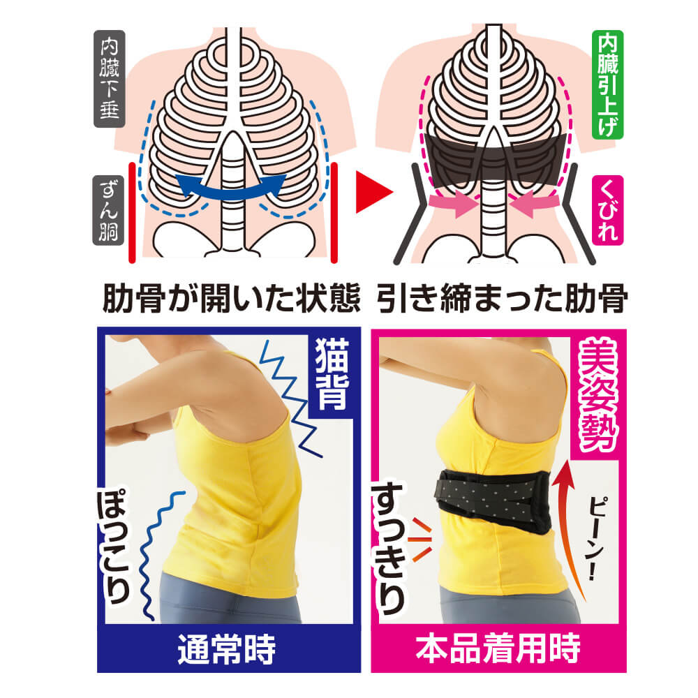エリ先生の美姿勢あばらWベルト