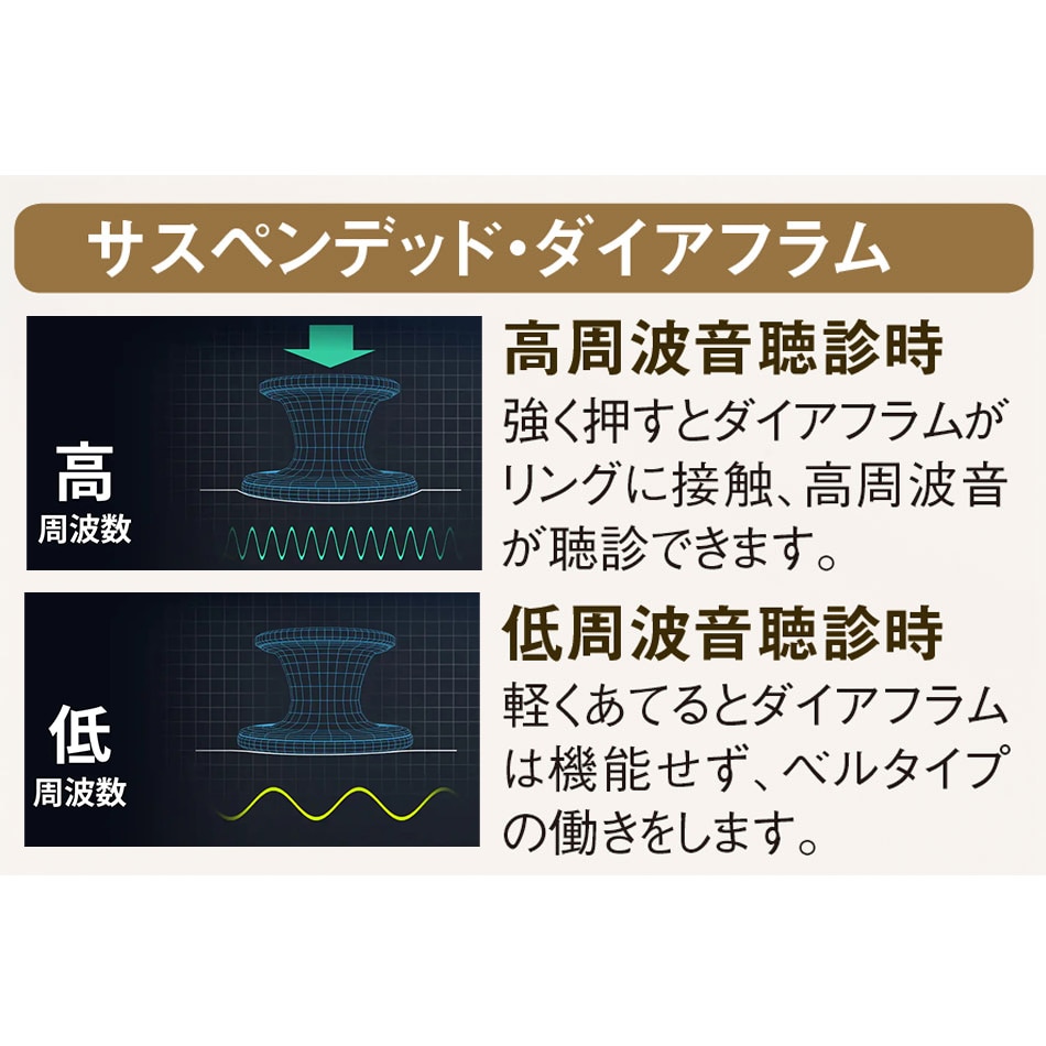 ［キャンペーン価格］3Mリットマン(R)カーディオロジーIV(TM) ステソスコープ スタンダード(聴診器)