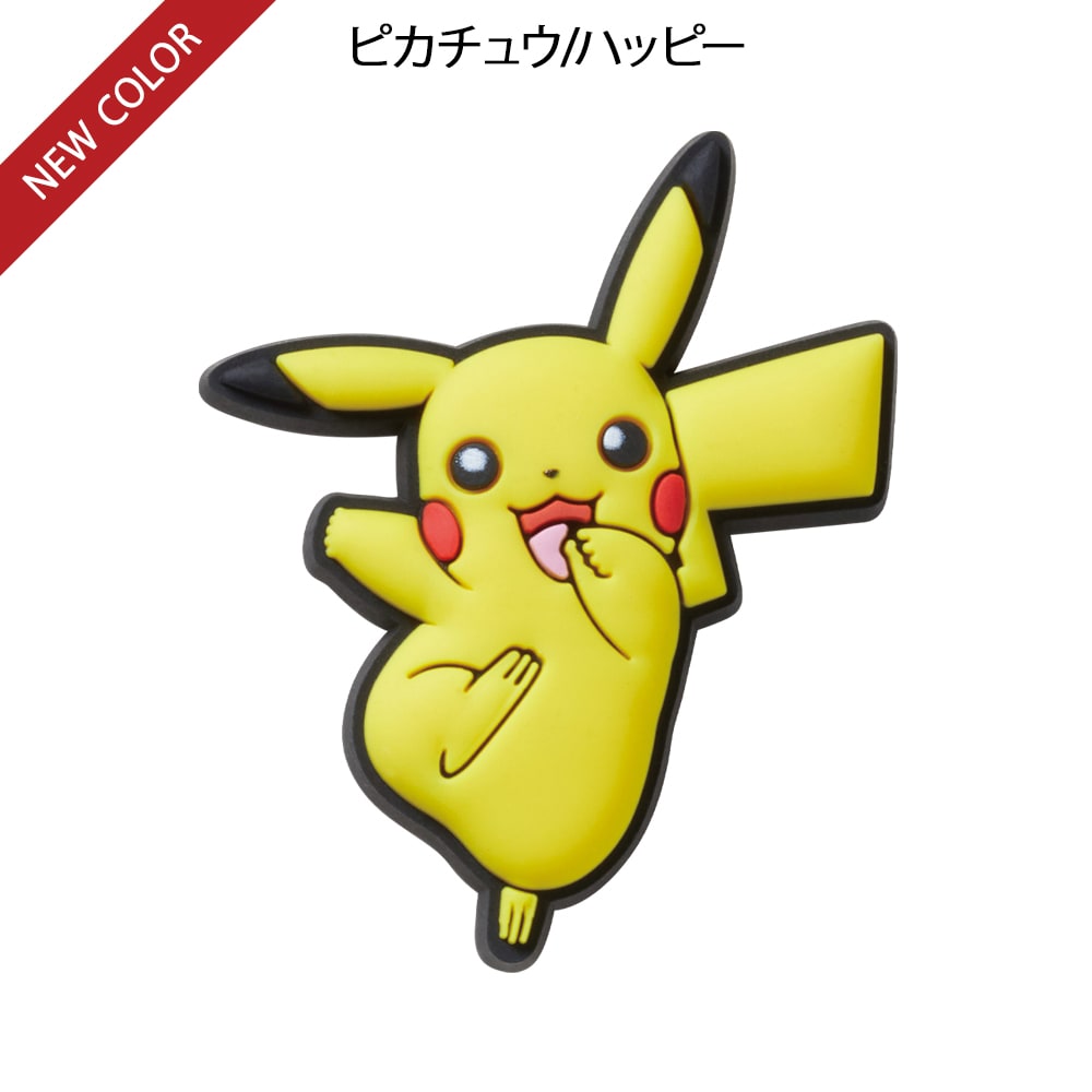 ポケモン ジビッツチャーム