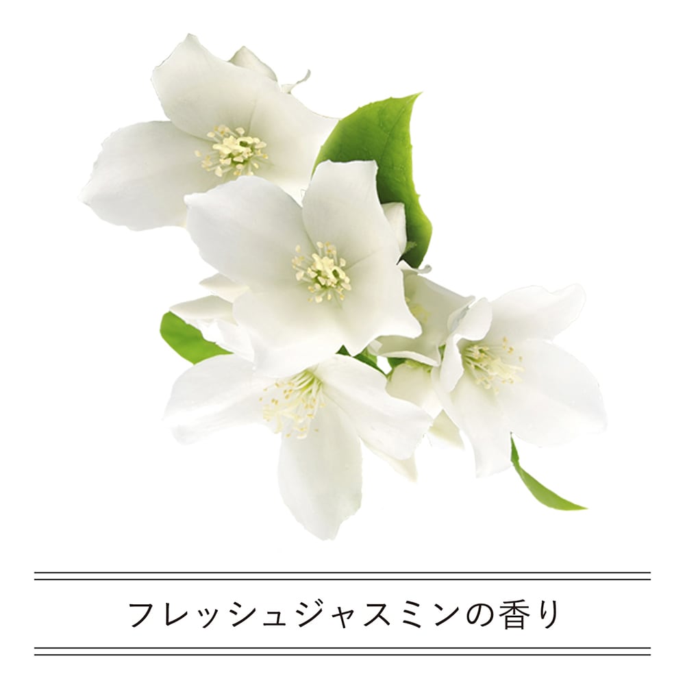 イロハ インティメートウォッシュ モイスト