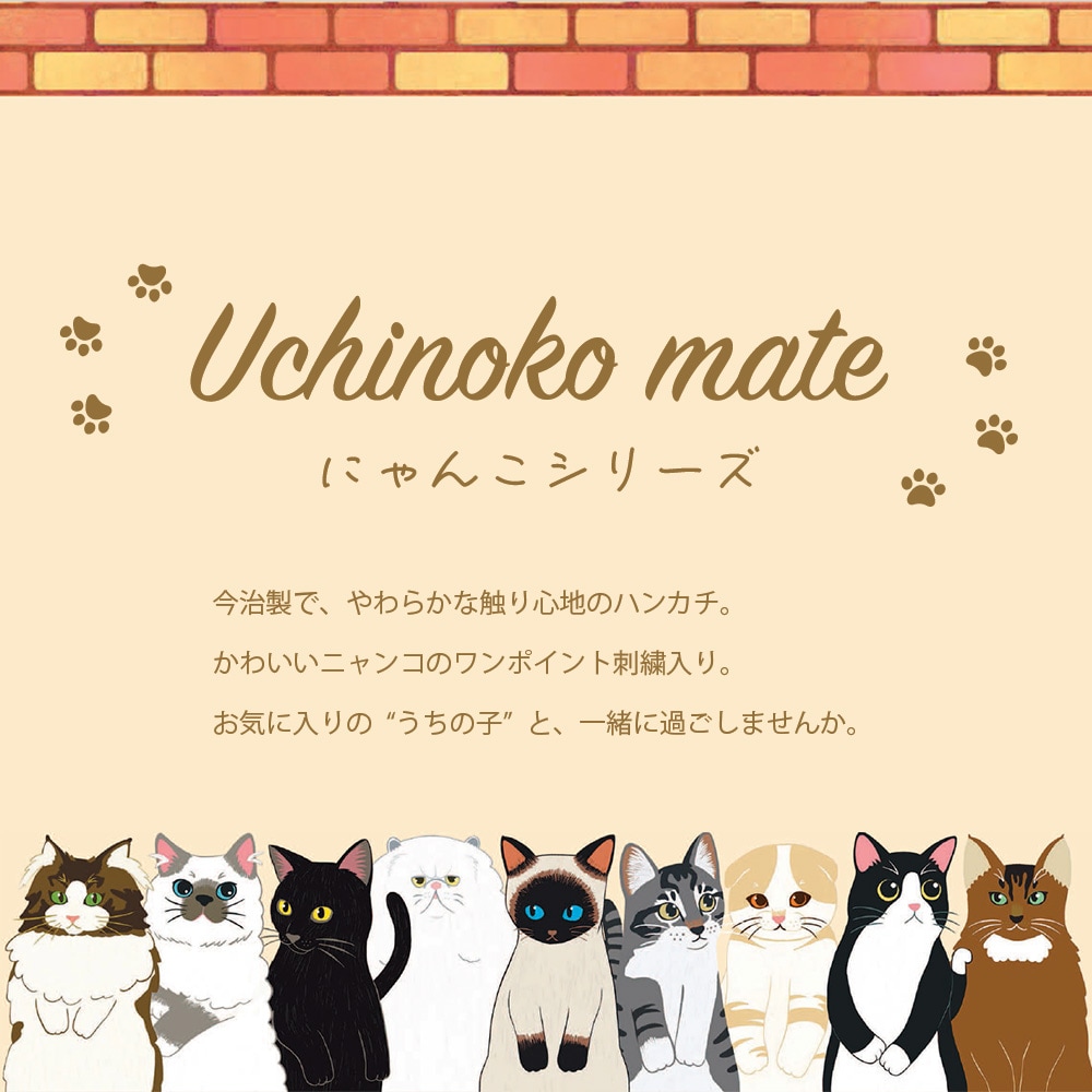 Uchinoko mate にゃんこシリーズ 刺繍ハンカチ(BOX入り)
