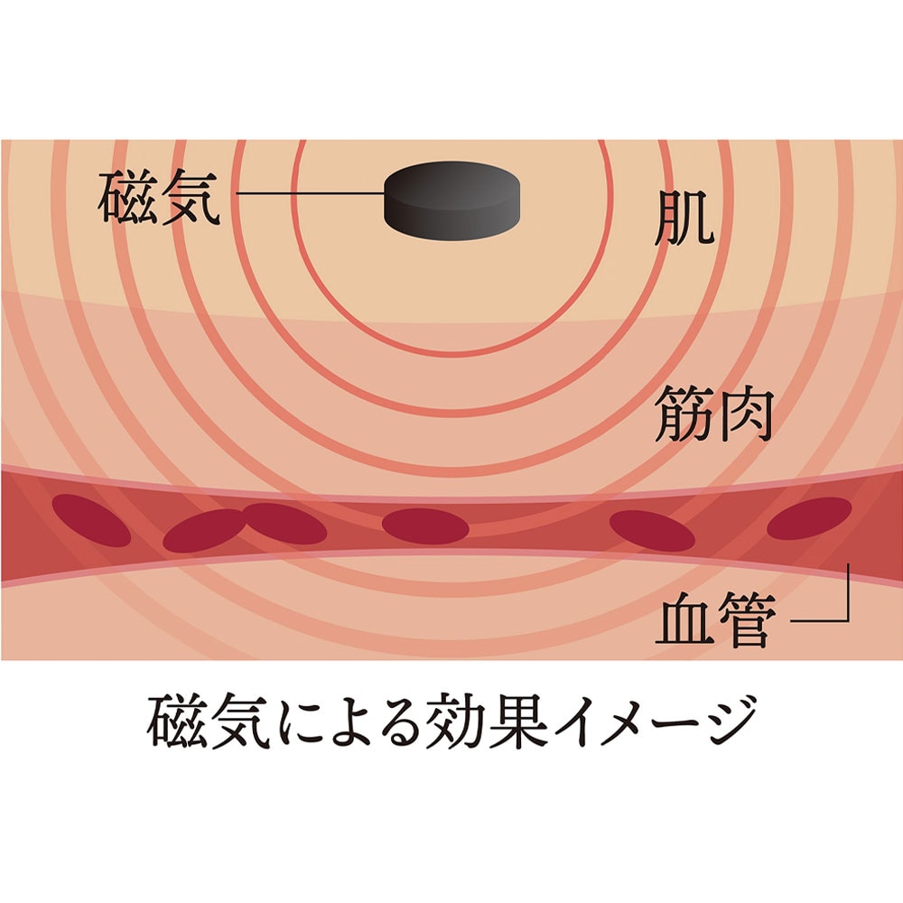磁気付足指ふくらはぎサポーター