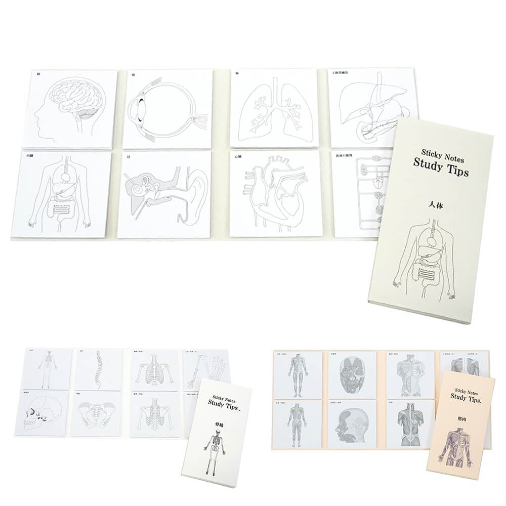 人体ふせん Sticky Notes Study Tips 紙季彩々