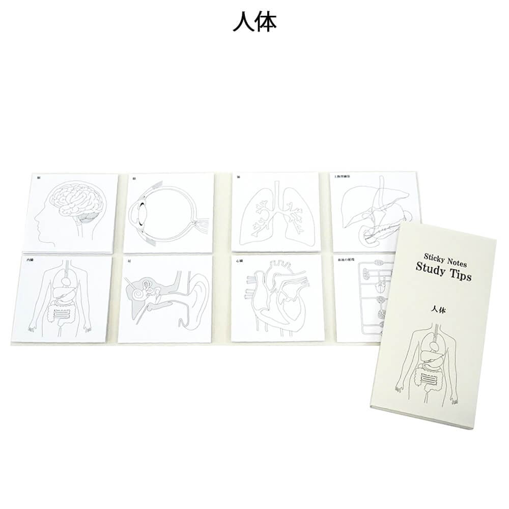 人体ふせん Sticky Notes Study Tips 紙季彩々