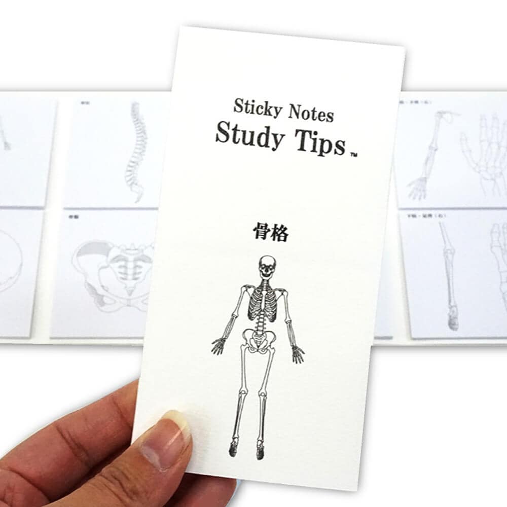 人体ふせん Sticky Notes Study Tips 紙季彩々