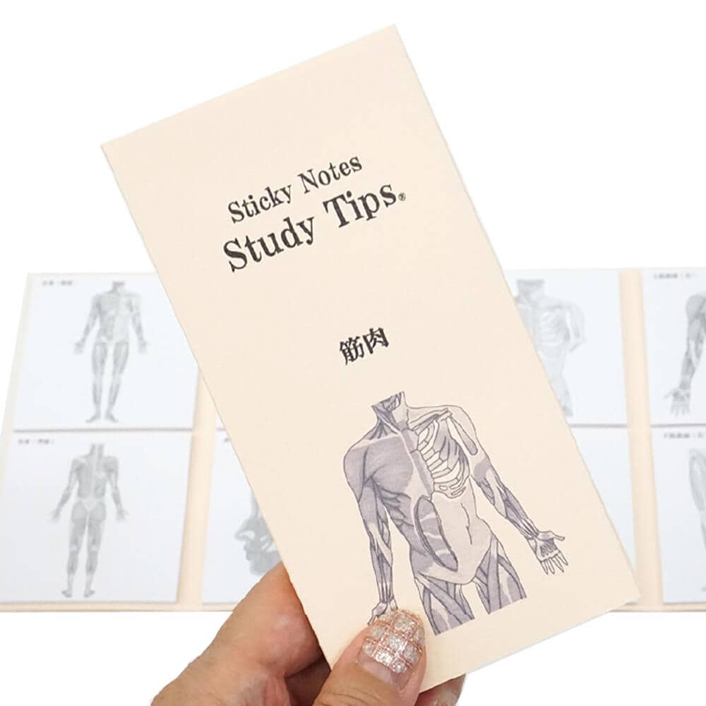 人体ふせん Sticky Notes Study Tips 紙季彩々