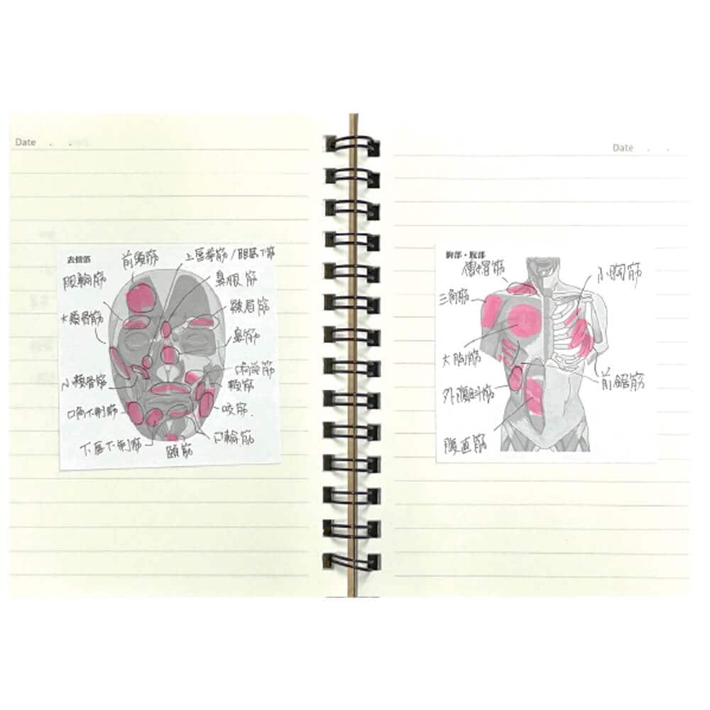 人体ふせん Sticky Notes Study Tips 紙季彩々