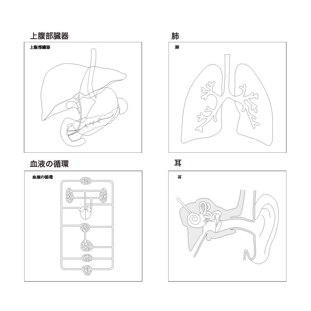 人体ふせん Sticky Notes Study Tips 紙季彩々