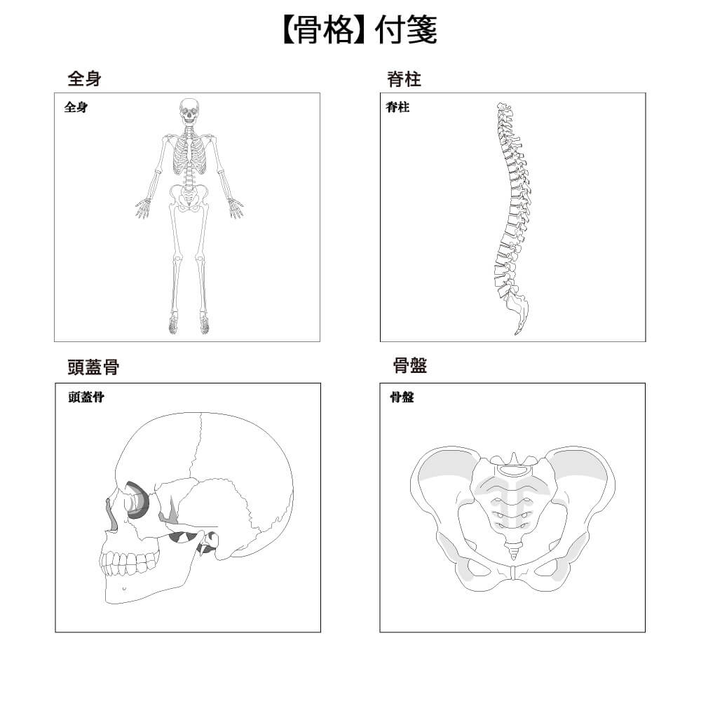 人体ふせん Sticky Notes Study Tips 紙季彩々