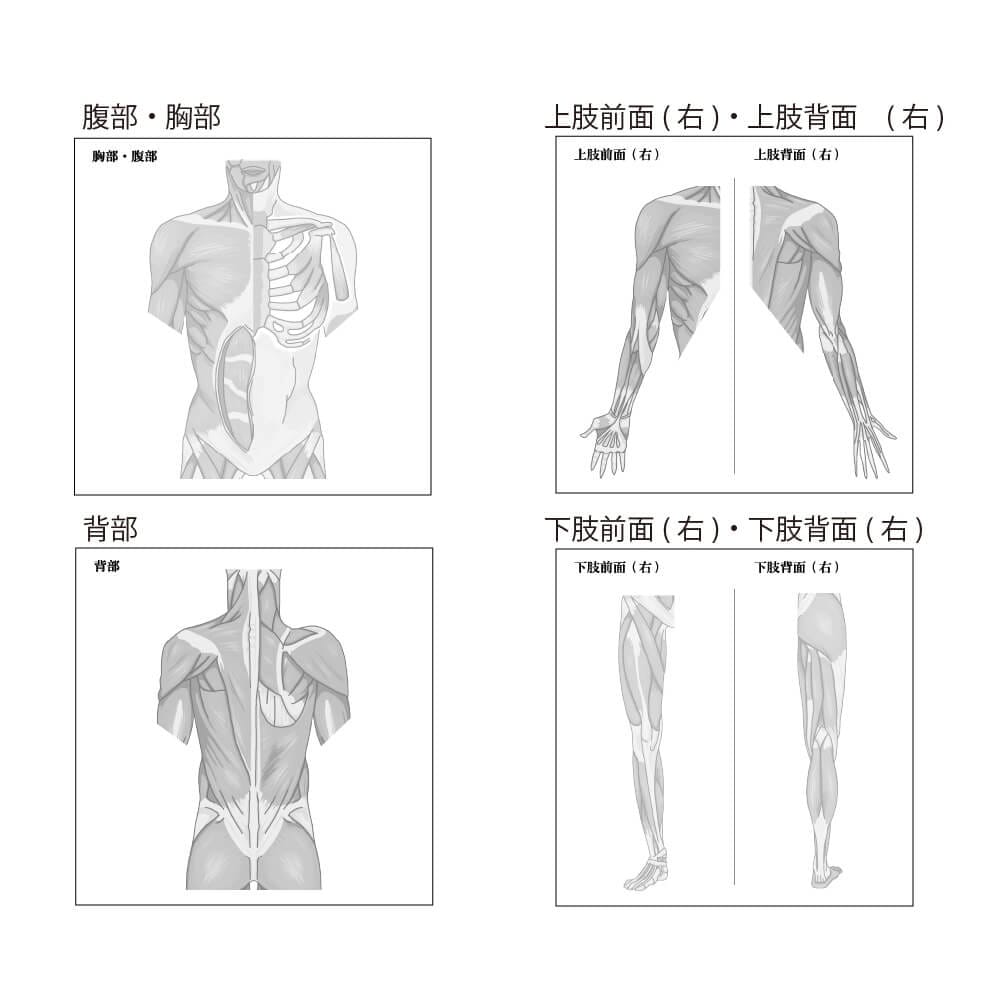 人体ふせん Sticky Notes Study Tips 紙季彩々