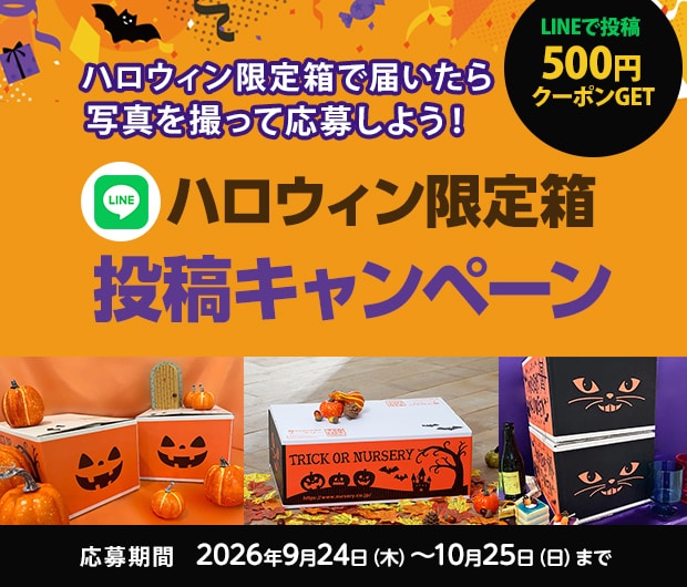 ハロウィンBOXフォトキャンペーン