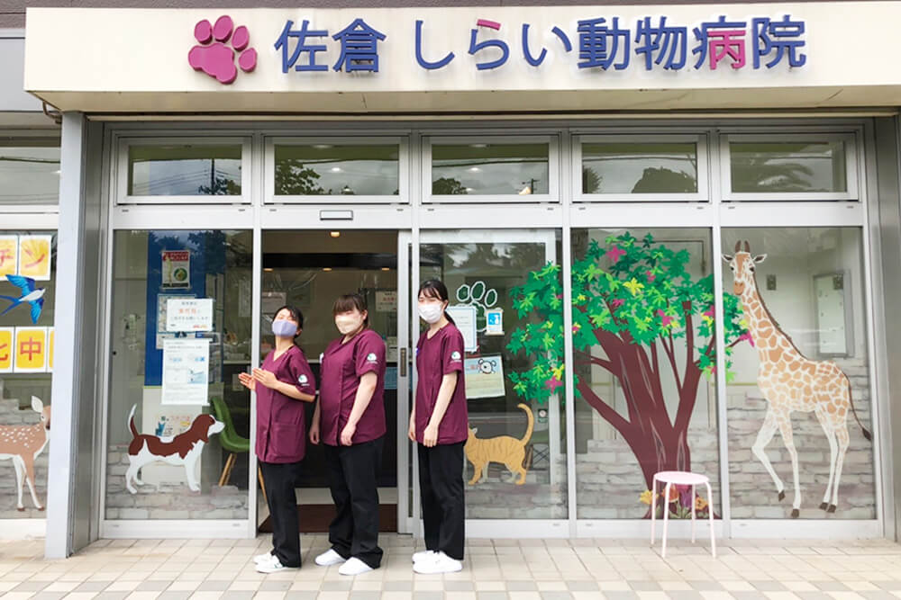 しらい動物病院様