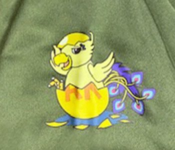 プルチーノドーロ訪問看護ステーション様