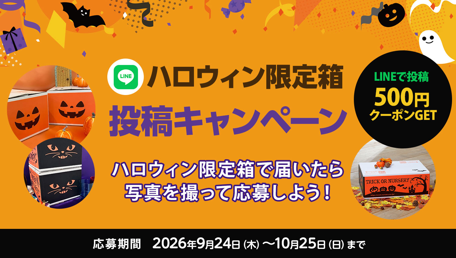 coming soon