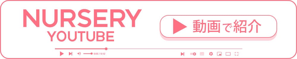 動画で紹介