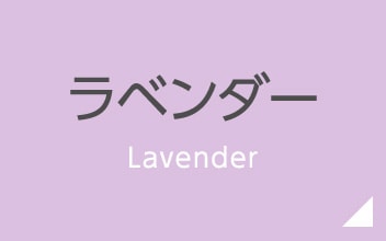 ラベンダー