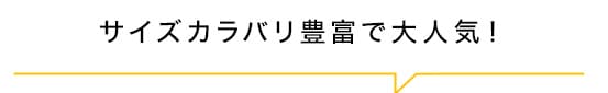 ポイント