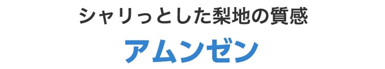 アムンゼン