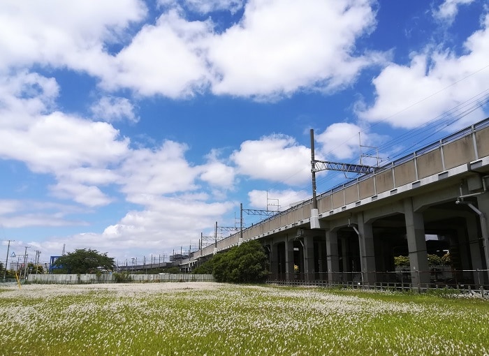心理テスト「建設予定は・・・?」