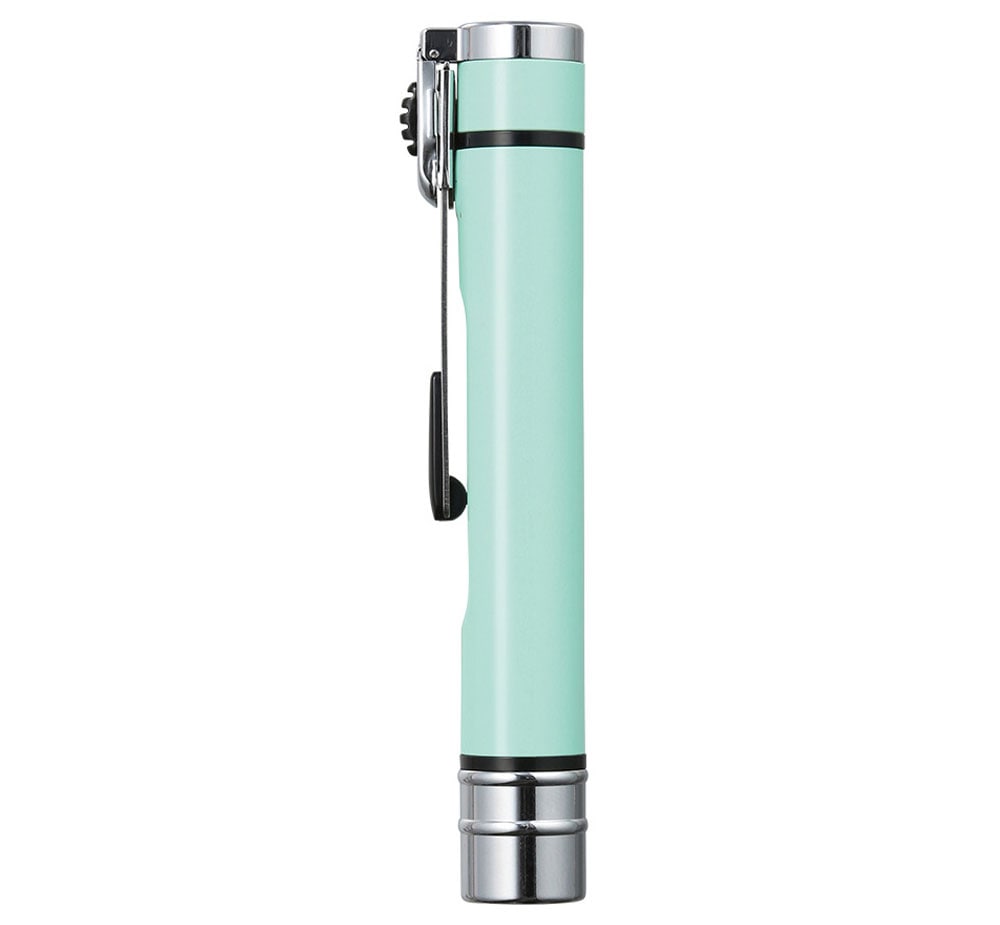 シヤチハタ ネームエルツイン