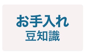 お手入れ豆知識