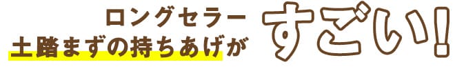 ロングセラー土踏まずの持ち上げがすごい！