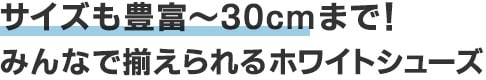 シェスタースポーツシューズNo.533T