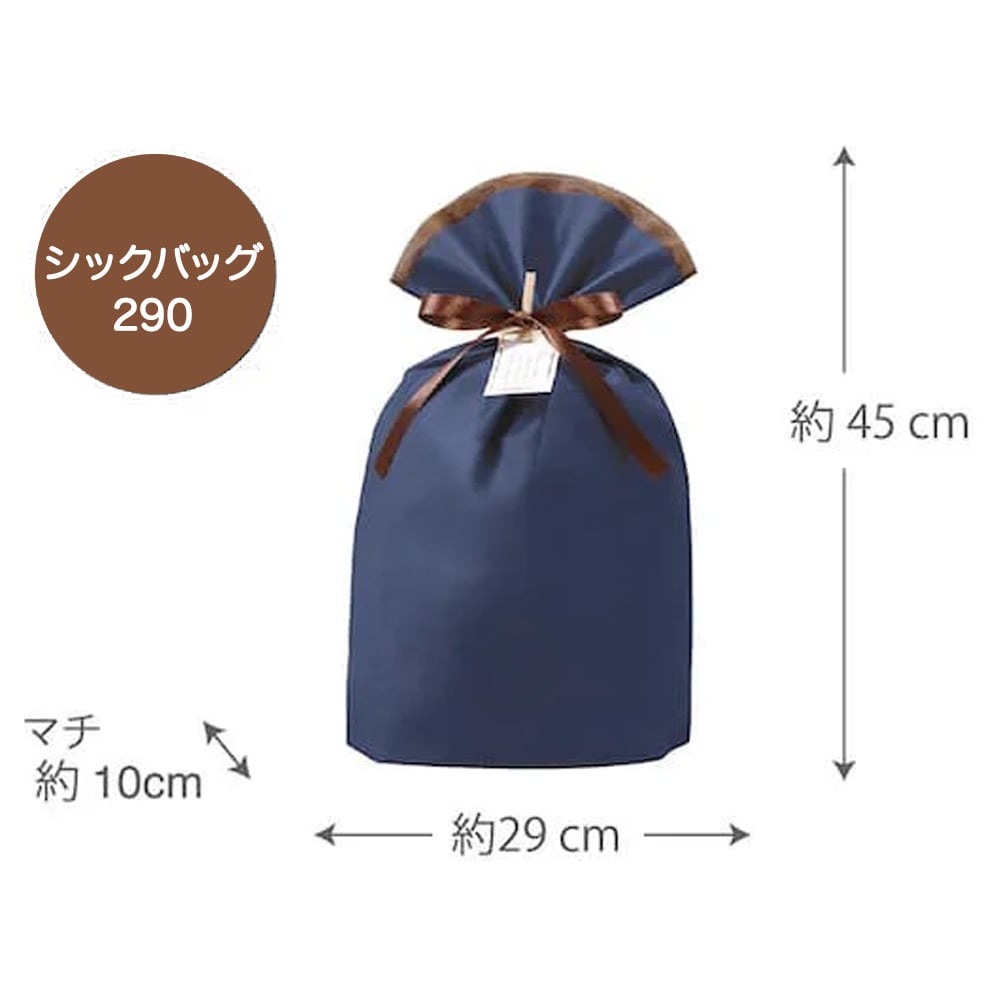 シックバッグ290…ウェア、シューズ(1足)におすすめ
