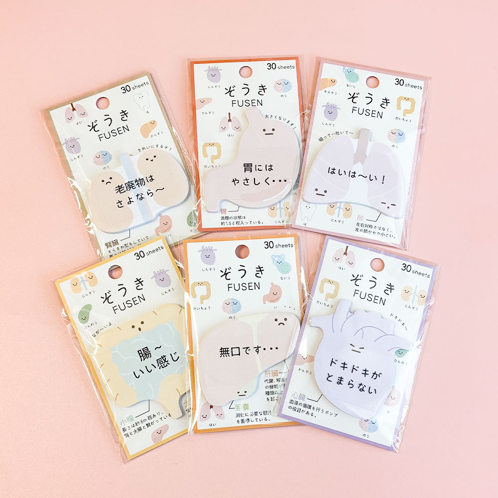 肺／肝臓のセット