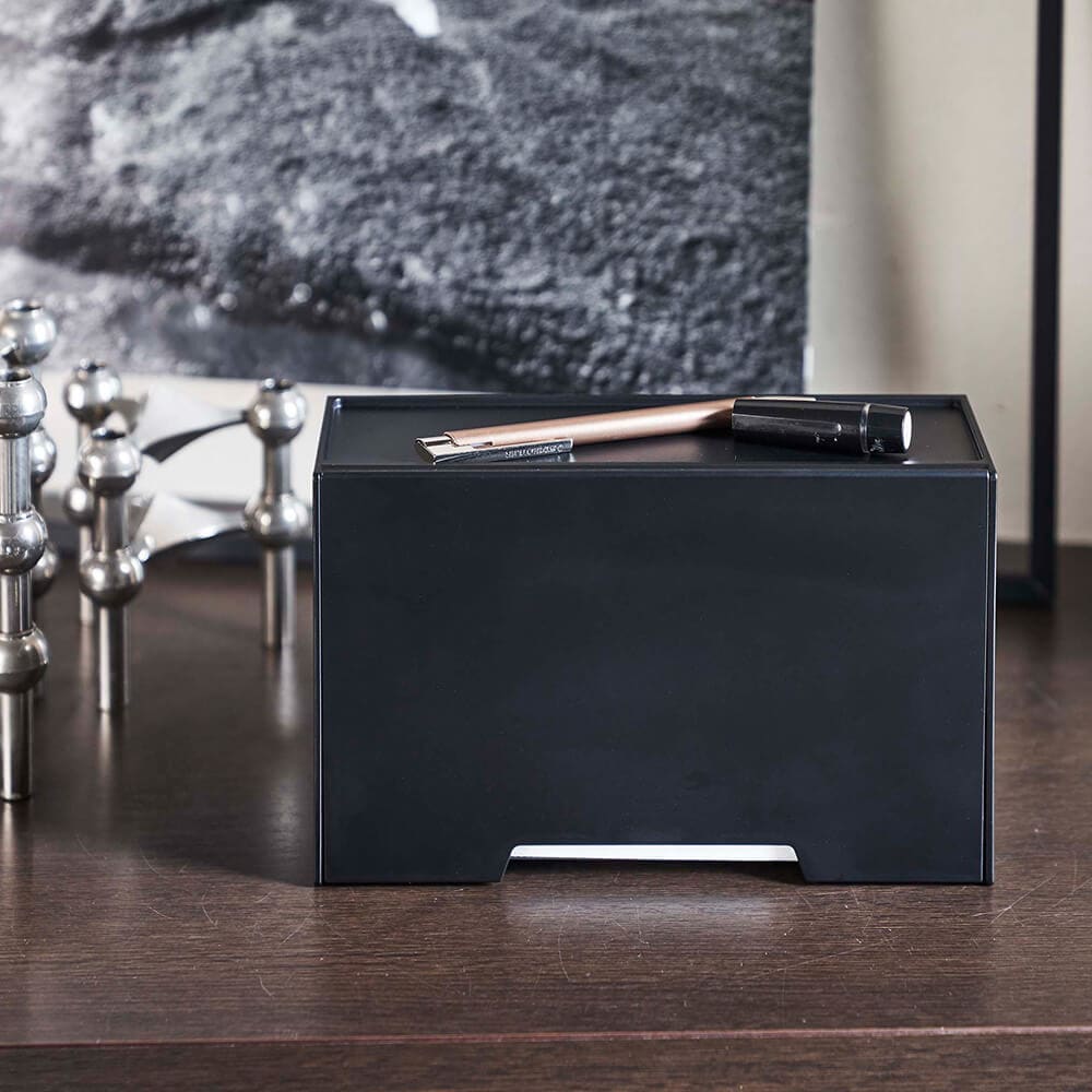 タワー ツーウェイマスク収納ケース スマート